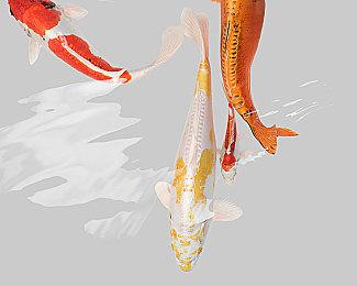 官方承诺优化《女神异闻录3:Reload》Switch2版帧率